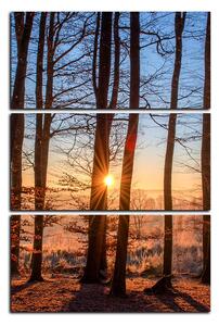 Slika na platnu - Jesenje jutro u šumi - pravokutnik 7251B (90x60 cm )