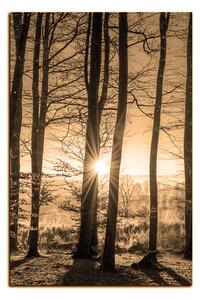 Slika na platnu - Jesenje jutro u šumi - pravokutnik 7251FA (90x60 cm )