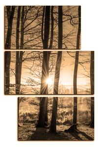 Slika na platnu - Jesenje jutro u šumi - pravokutnik 7251FD (90x60 cm)