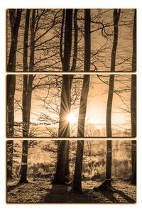 Slika na platnu - Jesenje jutro u šumi - pravokutnik 7251FB (90x60 cm )
