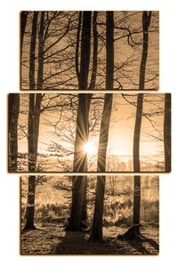 Slika na platnu - Jesenje jutro u šumi - pravokutnik 7251FC (120x80 cm)