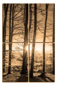 Slika na platnu - Jesenje jutro u šumi - pravokutnik 7251FE (90x60 cm)