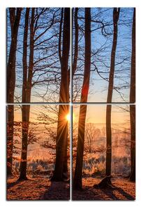 Slika na platnu - Jesenje jutro u šumi - pravokutnik 7251E (90x60 cm)