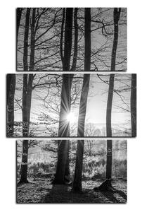 Slika na platnu - Jesenje jutro u šumi - pravokutnik 7251QC (90x60 cm)