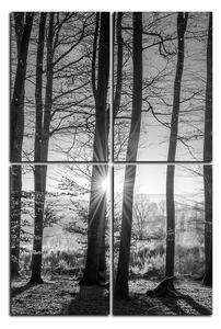Slika na platnu - Jesenje jutro u šumi - pravokutnik 7251QE (90x60 cm)
