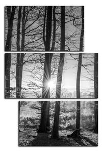 Slika na platnu - Jesenje jutro u šumi - pravokutnik 7251QD (120x80 cm)