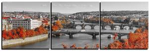 Slika na platnu - Rijeka Vltava i Karlov most - panorama 5257QB (90x30 cm)