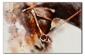 Slika na platnu - Glava konja u apstraktnom prikazu 1263A (120x80 cm)