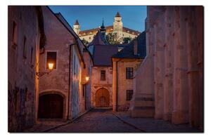 Slika na platnu - Stari grad Bratislave s dvorcem u pozadini 1265A (100x70 cm)