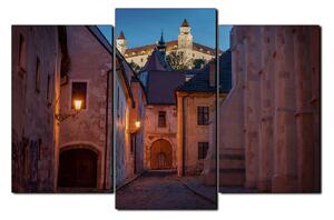 Slika na platnu - Stari grad Bratislave s dvorcem u pozadini 1265C (150x100 cm)