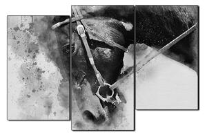 Slika na platnu - Glava konja u apstraktnom prikazu 1263QD (150x100 cm)