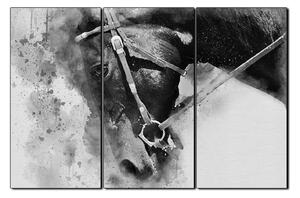 Slika na platnu - Glava konja u apstraktnom prikazu 1263QB (150x100 cm)