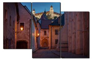 Slika na platnu - Stari grad Bratislave s dvorcem u pozadini 1265D (120x80 cm)
