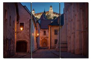 Slika na platnu - Stari grad Bratislave s dvorcem u pozadini 1265B (150x100 cm)