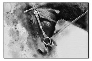 Slika na platnu - Glava konja u apstraktnom prikazu 1263QA (90x60 cm )