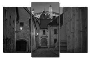Slika na platnu - Stari grad Bratislave s dvorcem u pozadini 1265QC (120x80 cm)