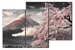 Slika na platnu - Planina Fuji i cvjetanje trešnje u proljeće 1266QD (120x80 cm)