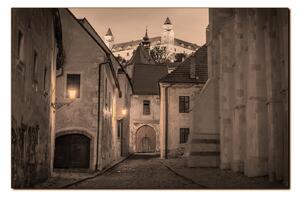 Slika na platnu - Stari grad Bratislave s dvorcem u pozadini 1265FA (90x60 cm )
