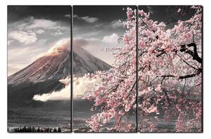 Slika na platnu - Planina Fuji i cvjetanje trešnje u proljeće 1266QB (150x100 cm)