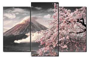 Slika na platnu - Planina Fuji i cvjetanje trešnje u proljeće 1266QC (150x100 cm)