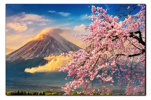 Slika na platnu - Planina Fuji i cvjetanje trešnje u proljeće 1266A (100x70 cm)