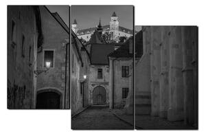 Slika na platnu - Stari grad Bratislave s dvorcem u pozadini 1265QD (150x100 cm)