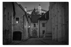 Slika na platnu - Stari grad Bratislave s dvorcem u pozadini 1265QA (100x70 cm)