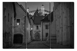 Slika na platnu - Stari grad Bratislave s dvorcem u pozadini 1265QB (150x100 cm)