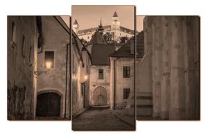 Slika na platnu - Stari grad Bratislave s dvorcem u pozadini 1265FC (120x80 cm)