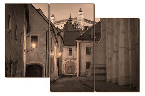 Slika na platnu - Stari grad Bratislave s dvorcem u pozadini 1265FD (90x60 cm)