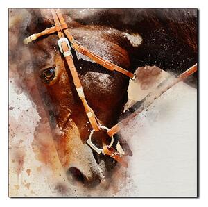 Slika na platnu - Glava konja u apstraktnom prikazu - kvadrat 3263A (50x50 cm)