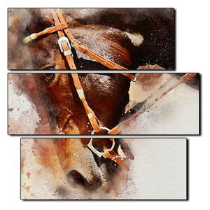 Slika na platnu - Glava konja u apstraktnom prikazu - kvadrat 3263C (75x75 cm)
