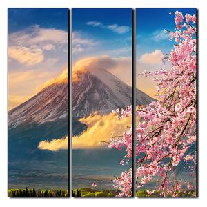 Slika na platnu - Planina Fuji i cvjetanje trešnje u proljeće - kvadrat 3266B (75x75 cm)