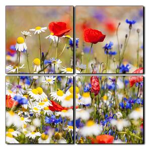 Slika na platnu - Proljetna livada - kvadrat 3264E (60x60 cm)
