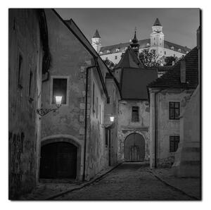 Slika na platnu - Stari grad Bratislave s dvorcem u pozadini - kvadrat 3265QA (50x50 cm)