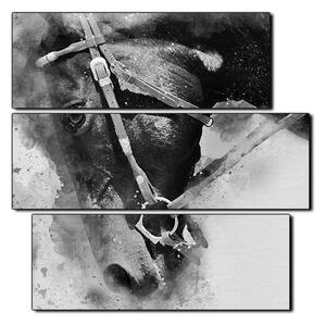 Slika na platnu - Glava konja u apstraktnom prikazu - kvadrat 3263QC (75x75 cm)
