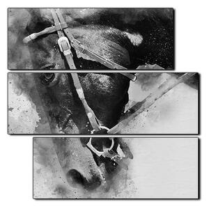Slika na platnu - Glava konja u apstraktnom prikazu - kvadrat 3263QD (75x75 cm)