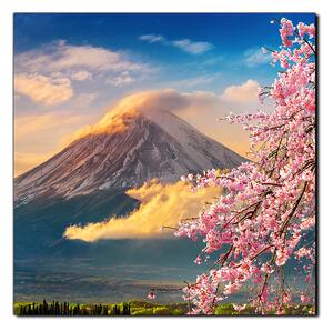 Slika na platnu - Planina Fuji i cvjetanje trešnje u proljeće - kvadrat 3266A (50x50 cm)