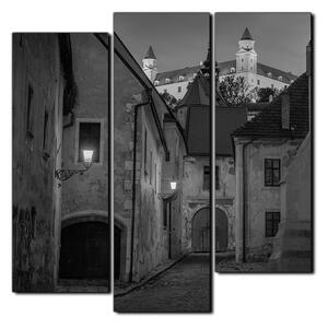 Slika na platnu - Stari grad Bratislave s dvorcem u pozadini - kvadrat 3265QC (75x75 cm)