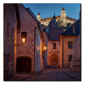 Slika na platnu - Stari grad Bratislave s dvorcem u pozadini - kvadrat 3265A (50x50 cm)