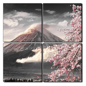 Slika na platnu - Planina Fuji i cvjetanje trešnje u proljeće - kvadrat 3266QE (60x60 cm)