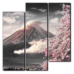 Slika na platnu - Planina Fuji i cvjetanje trešnje u proljeće - kvadrat 3266QD (75x75 cm)