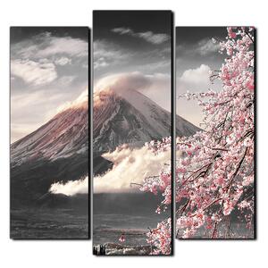 Slika na platnu - Planina Fuji i cvjetanje trešnje u proljeće - kvadrat 3266QC (75x75 cm)