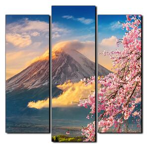 Slika na platnu - Planina Fuji i cvjetanje trešnje u proljeće - kvadrat 3266C (75x75 cm)
