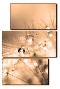 Slika na platnu - Maslačak s kapljicama rose - pravokutnik 7262FD (90x60 cm)