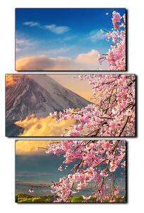 Slika na platnu - Planina Fuji i cvjetanje trešnje u proljeće - pravokutnik 7266C (90x60 cm)