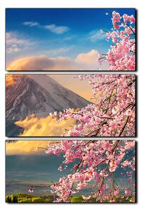 Slika na platnu - Planina Fuji i cvjetanje trešnje u proljeće - pravokutnik 7266B (120x80 cm)