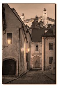 Slika na platnu - Stari grad Bratislave s dvorcem u pozadini - pravokutnik 7265FA (120x80 cm)