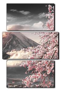Slika na platnu - Planina Fuji i cvjetanje trešnje u proljeće - pravokutnik 7266QC (90x60 cm)