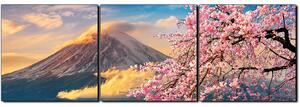 Slika na platnu - Planina Fuji i cvjetanje trešnje u proljeće - panorama 5266B (90x30 cm)